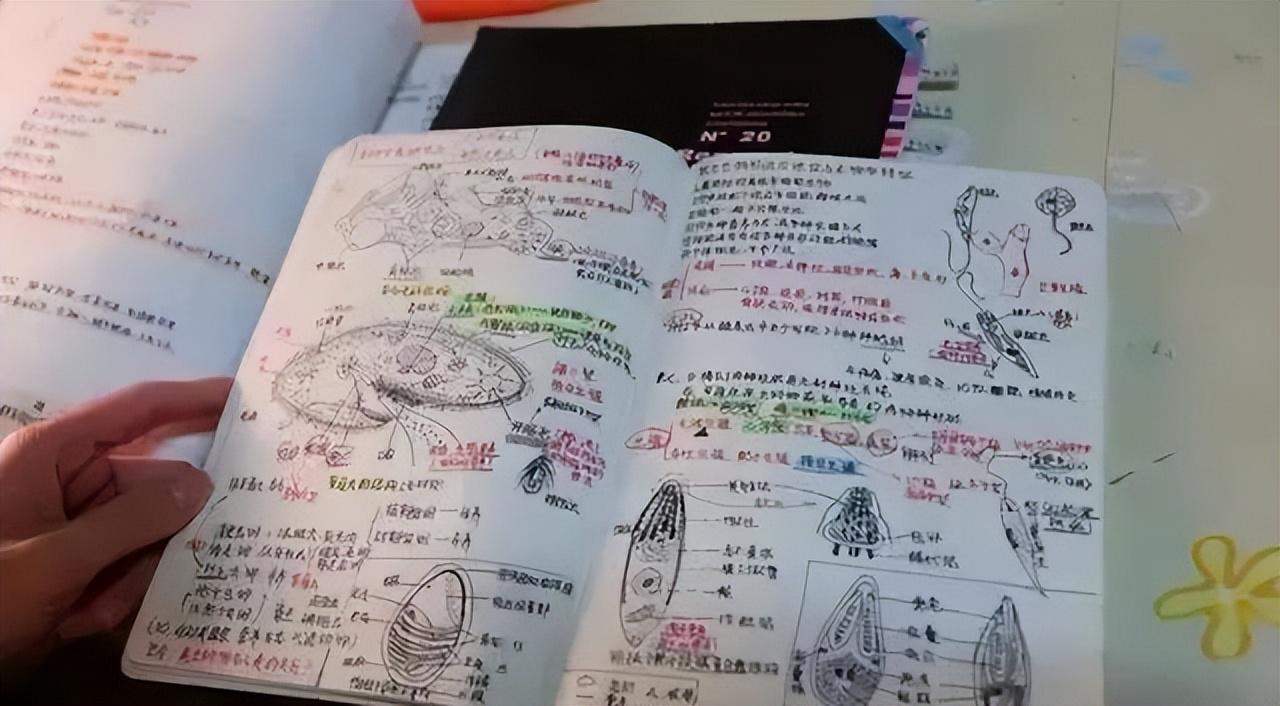 不是福克斯,5场总决赛90分!20岁的榜眼才是文班身边的科比