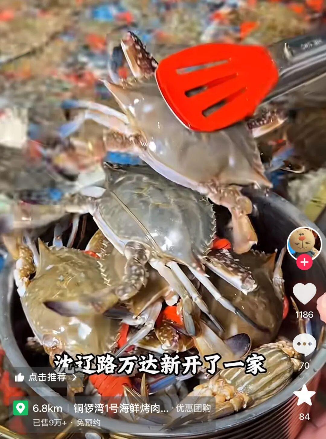 美媒扎心福克斯,米奇也被质疑!文班若想争冠,马刺要做出3改变