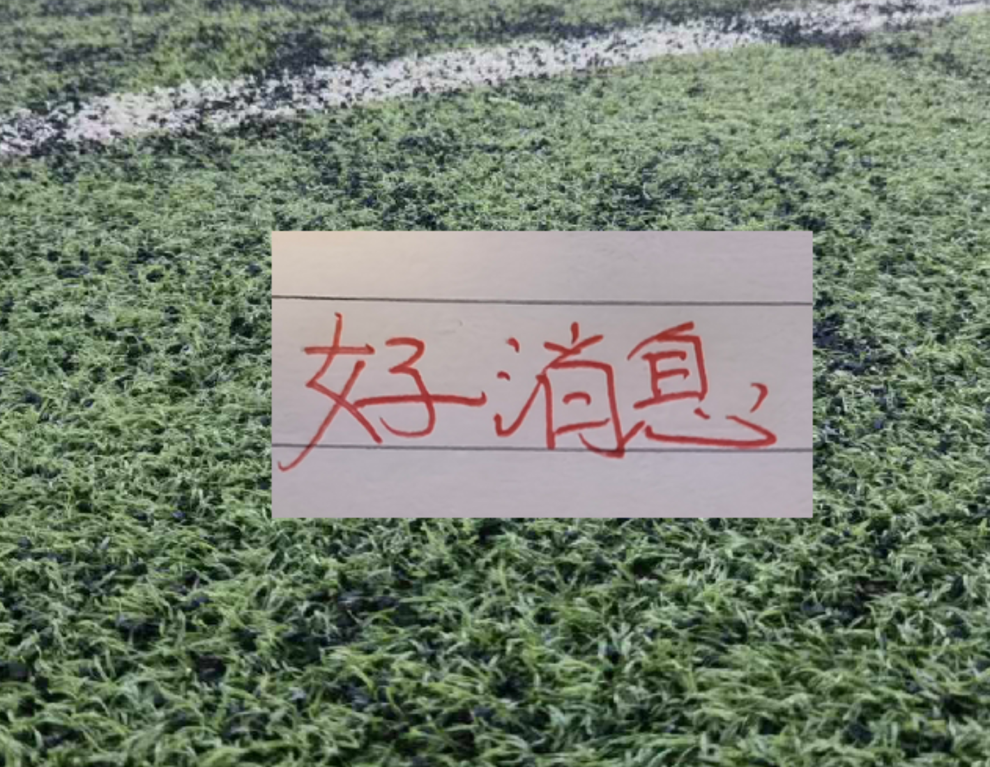 费兰vs佛得角数据:4次射门1次射正,8次地面对抗0次成功
